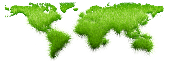 Grass Roots NLP
